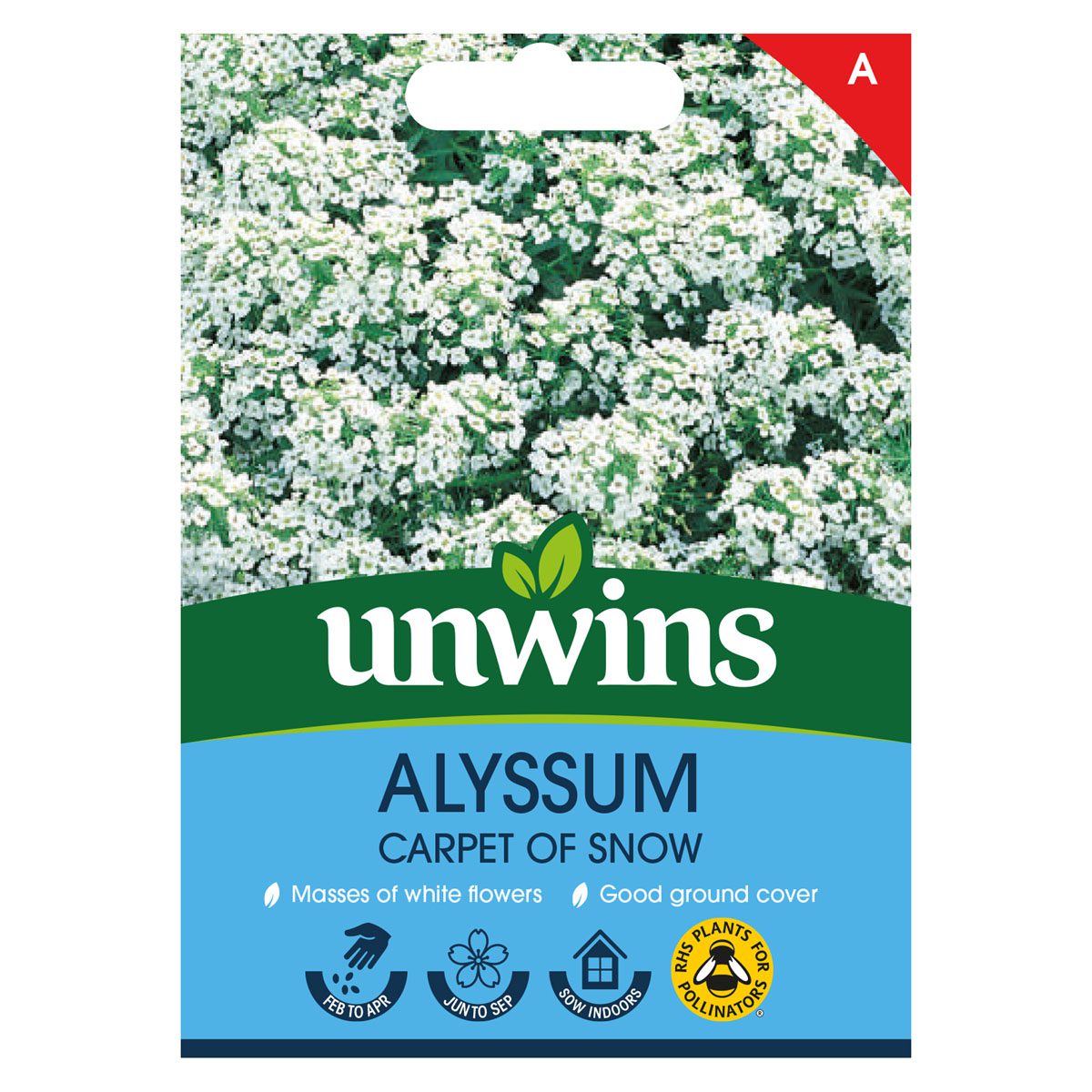 5051618010061 1 Alyssum Carpet Of Snow Seeds.jpg